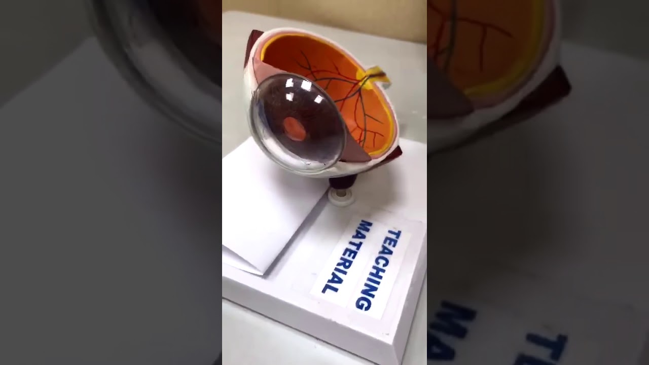 قصر النظر ؟ طول النظر ؟ استقماتيزم ؟ وش الفرق ؟   د. حافظ الفالح