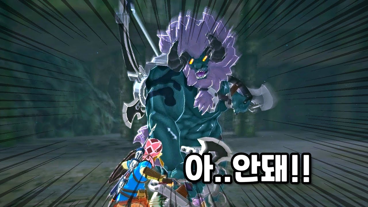 투기장에 있는 그 녀석 - 초회차 닌텐도 스위치2 [젤다의 전설:야생의 숨결]