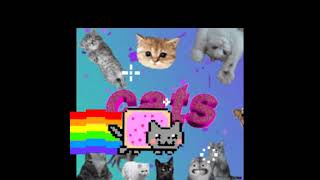 Nyan cat и его шизанутые братья