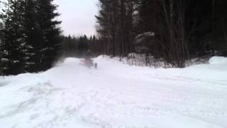 Bashan 250cc -12 Snowdrift