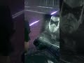 Batman Uses Batmobile Power to Activate the Antenna | Batman: Arkham Knight