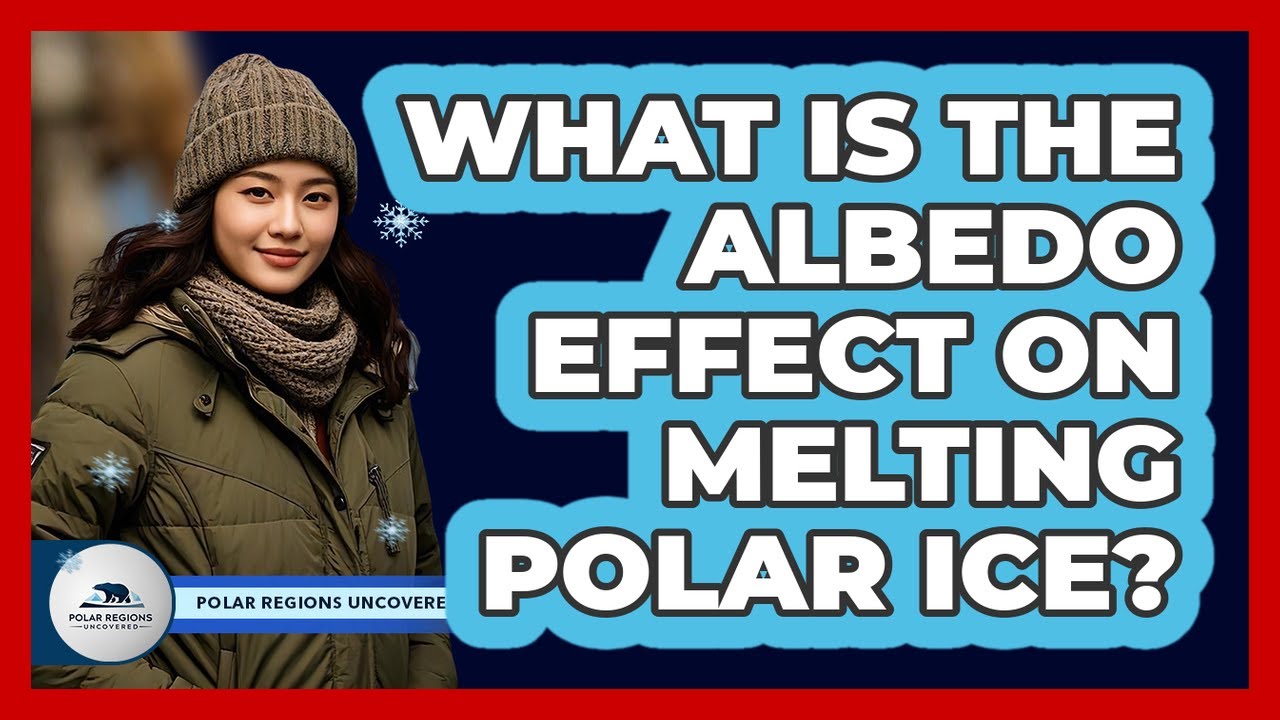 What Is The Albedo Effect On Melting Polar Ice?