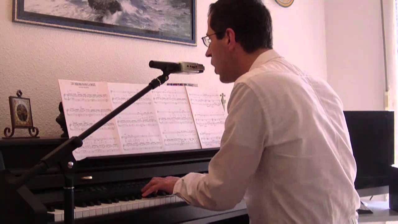 William Sheller Les Miroirs Dans La Boue