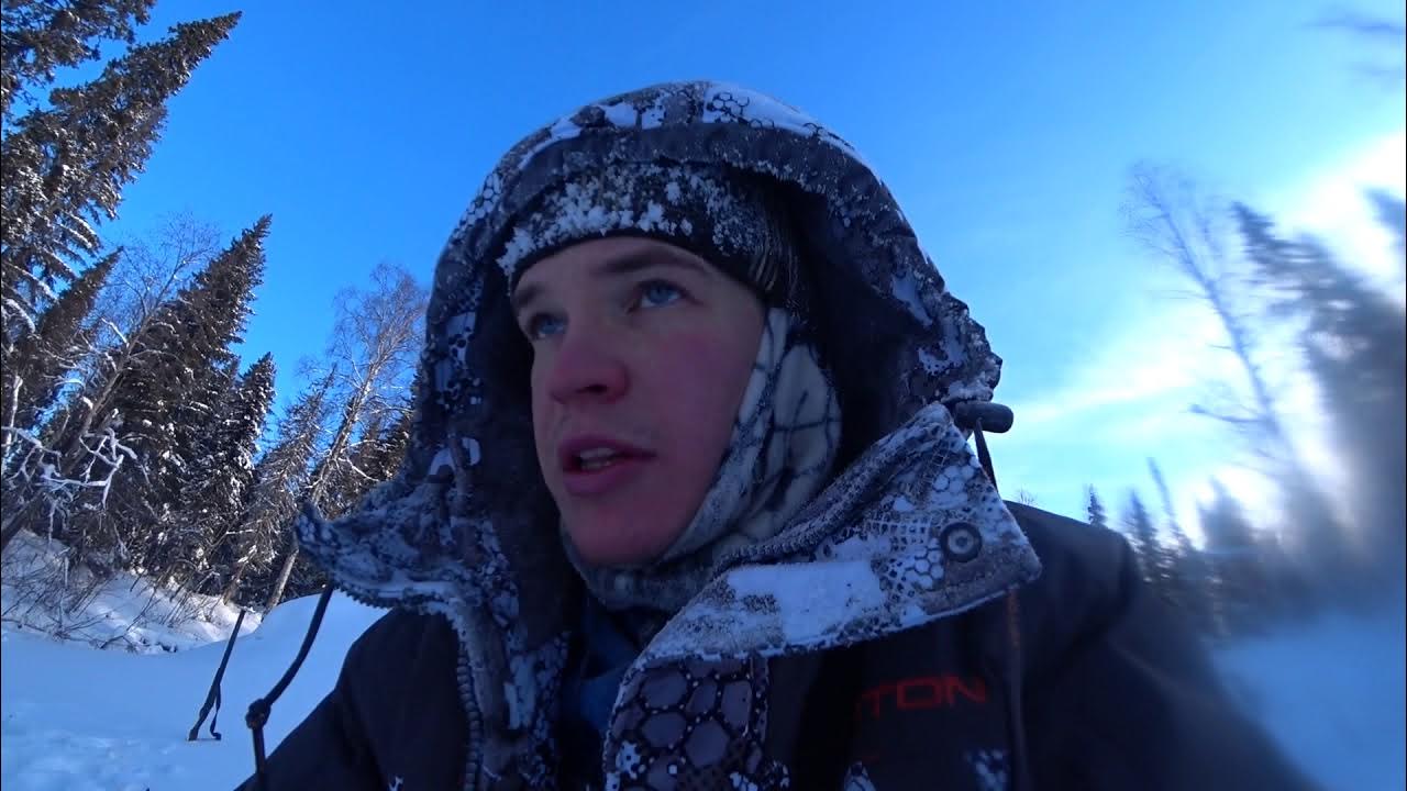 климатическая зона тайги. градусы в тайге. тайга природная зона климат. температура в тайге. климатические условия природной зоны тайги.