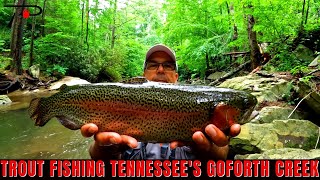 Trout Fishing Tennessee's Goforth Creek