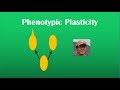 Phenotypic Plasticity Review (BI 107) - YouTube