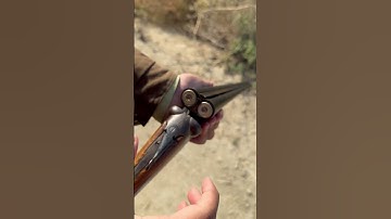 Double barrel shotgun #shotgun #hunting #oldisgold