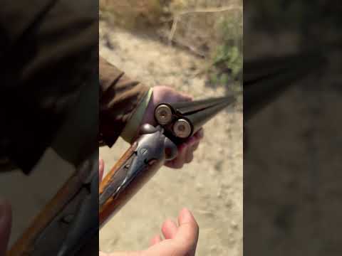 Double Barrel Shotgun Shotgun Hunting Oldisgold 