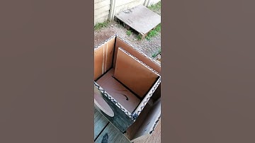 Thumbnail of Single 10 inch subwoofer box build