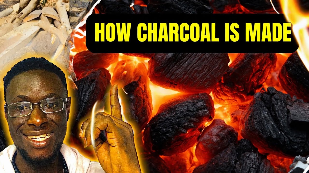 How Charcoal Is Made in Nigeria—Inside the Charcoal Business (Full Documentary)#truestory #charcoal 