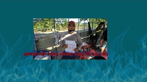 Câu cá giải trí đánh giải hồ đại hải