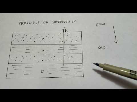 Video: Hoe is het principe van oorspronkelijke horizontaliteit?