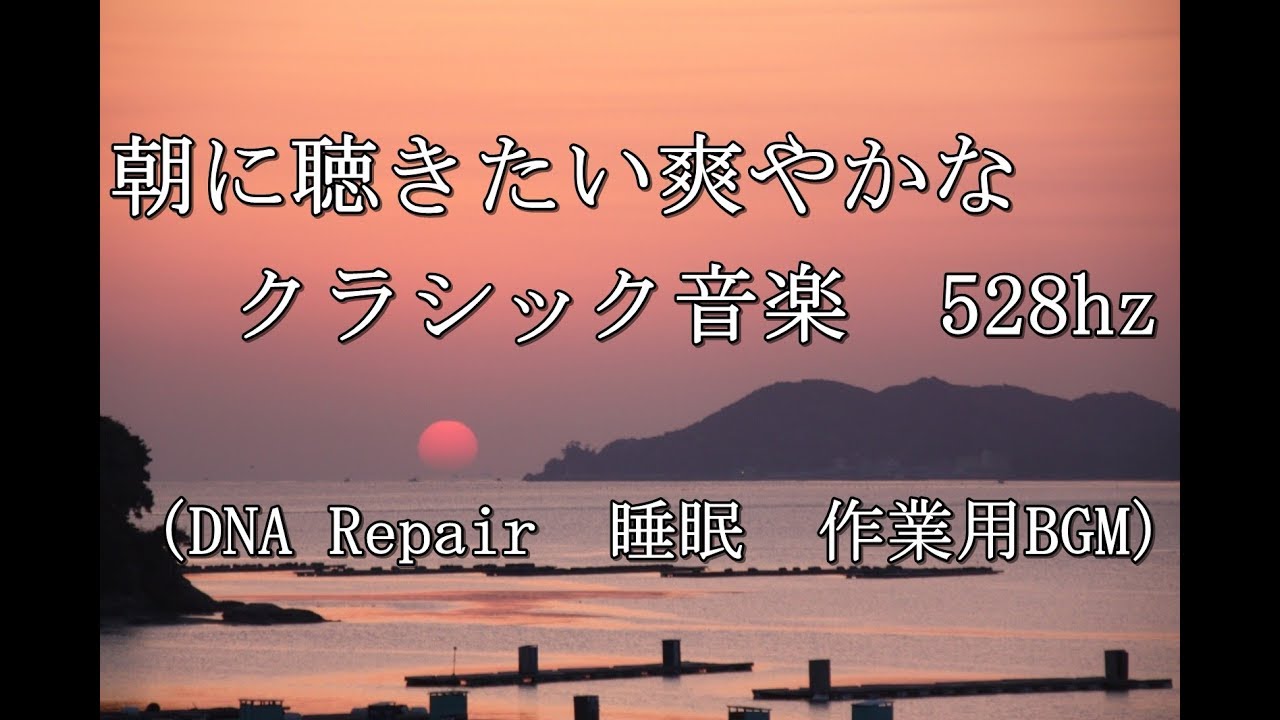 曲 たい に 朝 聴き