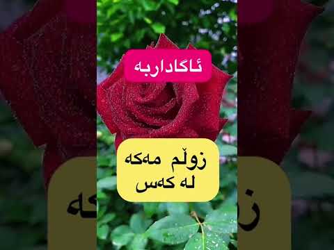 زووڵم لەكەس مەكەن  الرحمن  اكسبلور  دويتو