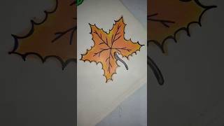 How to draw a leaf drawing | maple 🍁 leaf drawing #shorts #youtubeshorts #shortvideo #viral #reels