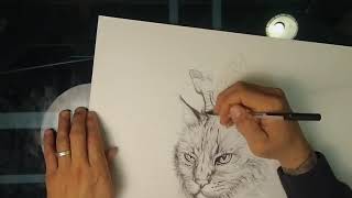 Pharaoh Of Feral Ballpoint Pen Time-Lapse Drawing By