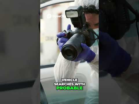 Warrantless Searches Your