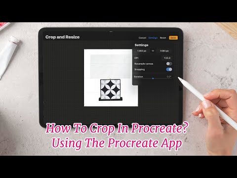 How To Crop In Procreate? Using The Procreate App