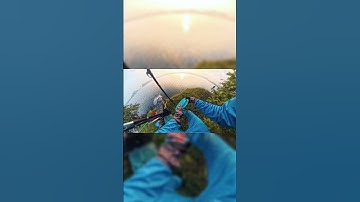 Tập 2 - Phần 6 | Tỉ Mỉ Từng Bước – Câu Cá Cũng Là Một Nghệ Thuật | #Short