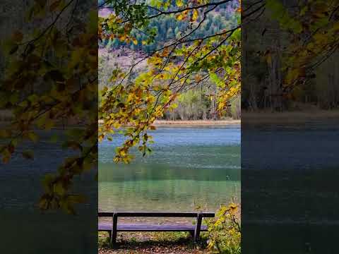 Https Youtu Be Ej12Rsy1 Q4 Si 7UMtygXcWW39KoB1