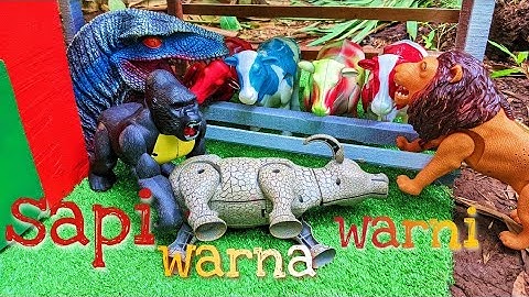 MENEMUKAN SAPI DAN MERAKIT SAPI MAINAN, SAPI MOO, SAPI LUCU, SAPI BELANG SAPI KARTUN