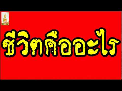 ชีวิตคืออะไร @ พระอาจารย์สมภพ โชติปัญโญ