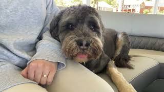 *silent* Birthday Boat Ride… + a Surprise Announcement?!