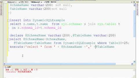 38 SQL Server 2008 视频教程  动态 SQL 用 EXEC 命令动态生成代码