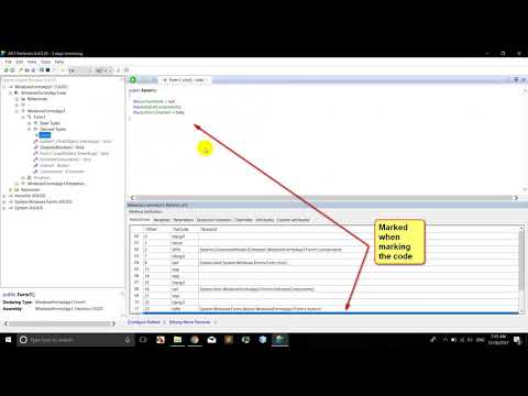 .net reverse engineering, Enable button