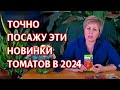 Супер новинки томатов 2020! Гибриды томатов для теплицы и открытого грунта.