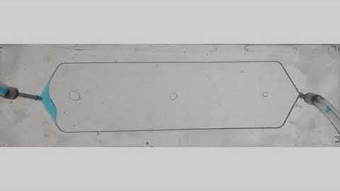 Pillars microfluidic device