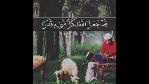تلاوة خاشعة بصوت ملائكي للشيخ ماهر المعيقلي || حالات واتس اب دينية قرآن كريم
