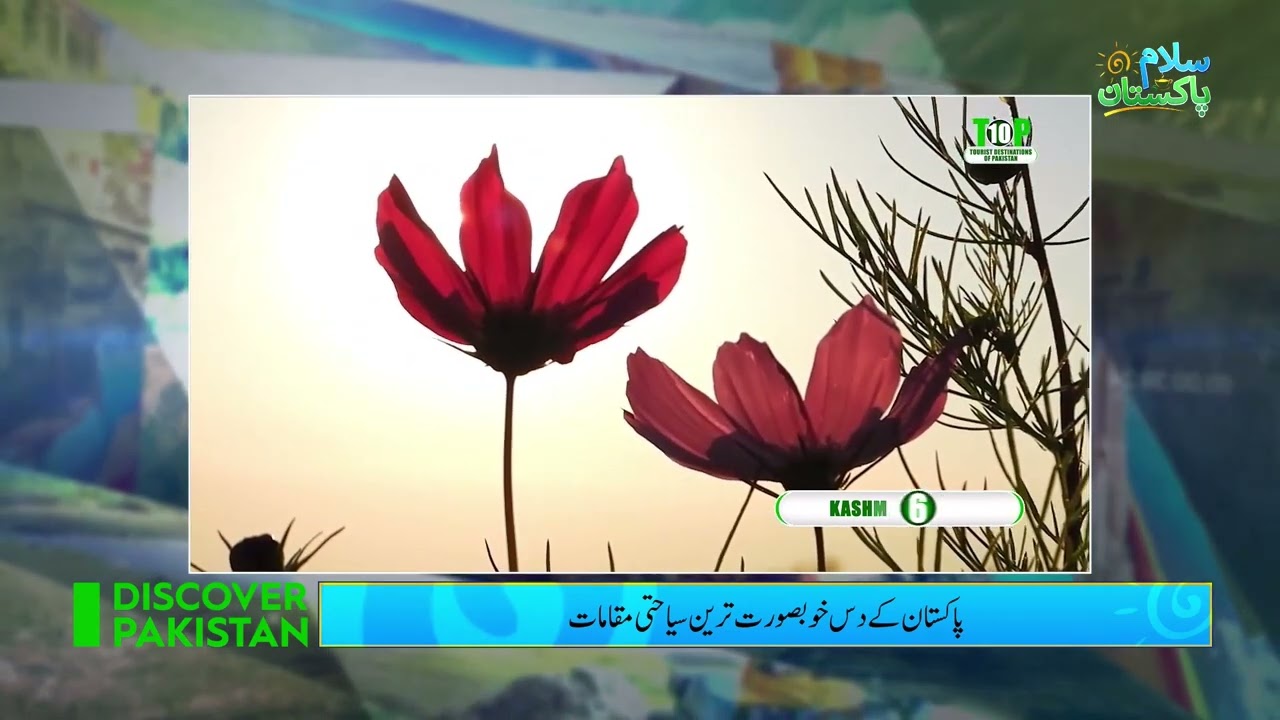 پاکستان کے 10 خوبصورت ترین سیاحتی مقامات