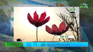 پاکستان کے 10 خوبصورت ترین سیاحتی مقامات screenshot 5
