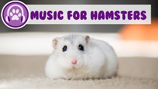  For Hamsters  Fast Acting Calming  tried U0026 Tested