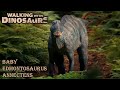 Walking With Dinosaurs 2025 Baby Edmontosaurus Annectens Screen Time