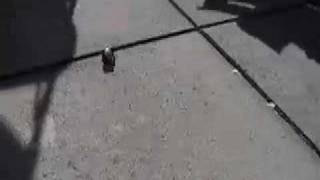 Mini Solar Racer