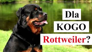 Dla KOGO ROTTWEILER