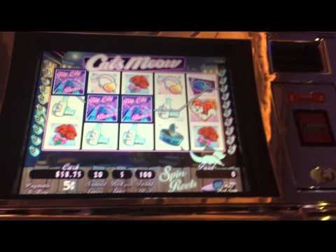 Cats slots youtube