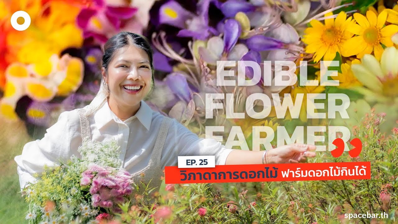 อยากรู้อยากเห็น: วิภาดาการดอกไม้ ฟาร์มดอกไม้กินได้ที่ภูเก็ต (Edible Flower Farm)