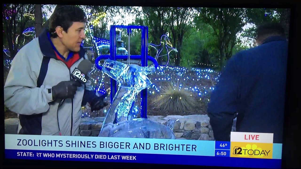 Phoenix Weatherman "Accidentally" Destroys Ice Sculpture