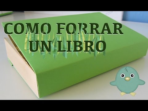 Video: Cómo hacer un diario: 15 pasos (con imágenes)