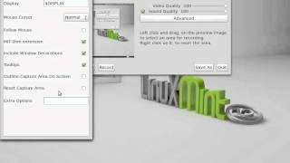 gtk-recordmydesktop - systembar dissapearing