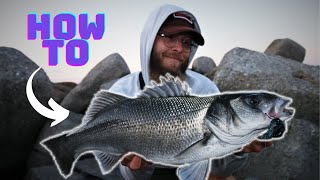 Sea Bass with Magic Minnow - TRAILER (Full video on Westin Fishing's channel)