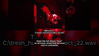 Tresh Hut  Ctresh hutsowproject 22wav     new  spotify