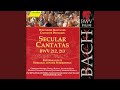 Mer Hahn En Neue Oberkeet BWV 212 Quot Peasant Cantata Quot Recitative Es Bleibt Dabei Soprano mp3