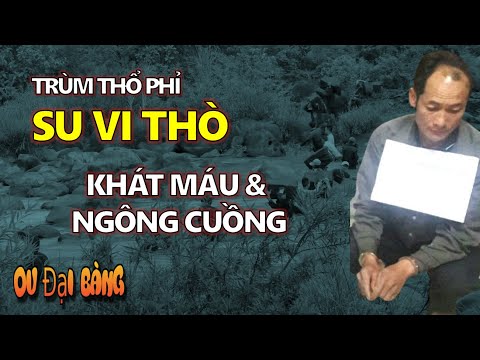 Hồ sơ Su Vi Thò: Trùm Thổ Phỉ khát máu và ngông cuồng