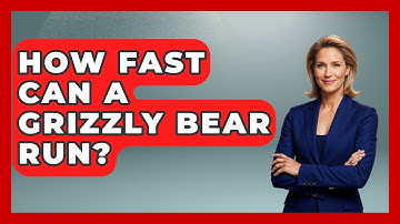 How Fast Can A Grizzly Bear Run? - Exploring Campgrounds