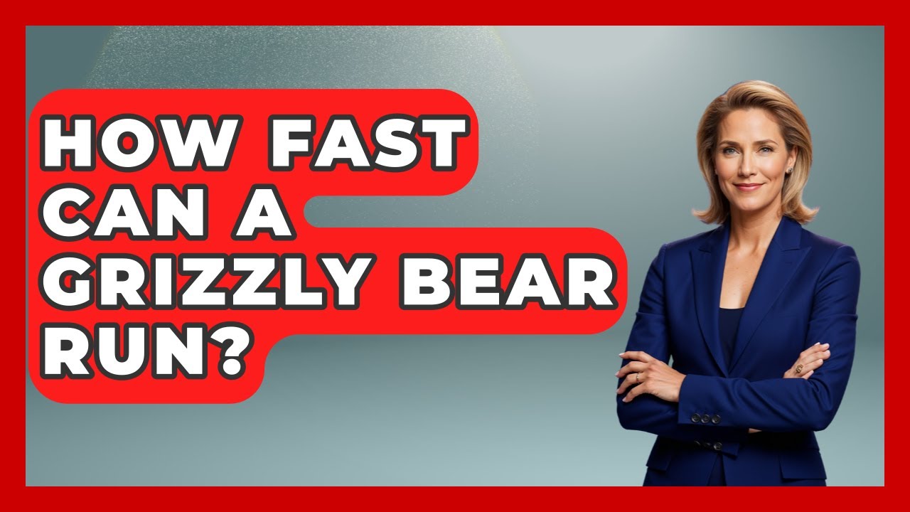 How Fast Can A Grizzly Bear Run? - Exploring Campgrounds