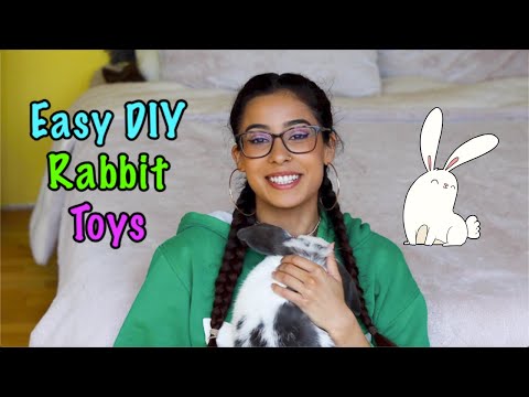 वीडियो: अपनी खुद की घर का बना खरगोश खिलौने बनाओ